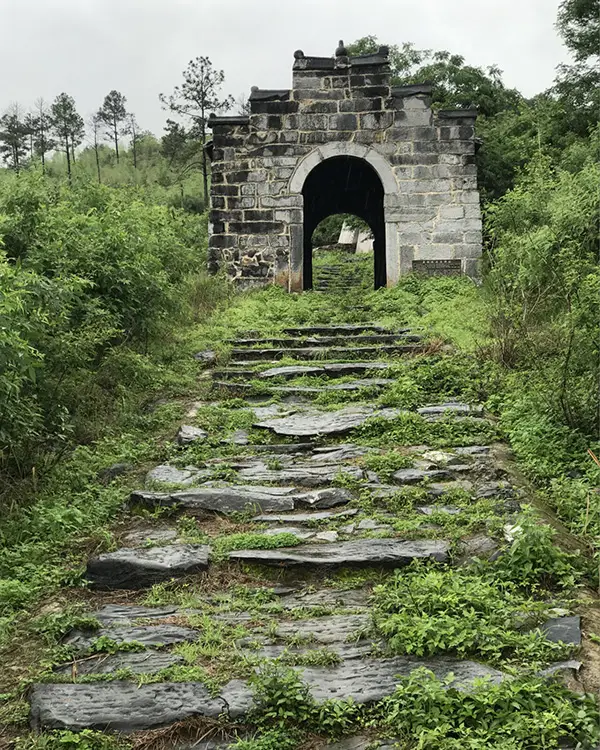 绿野青苔望天门